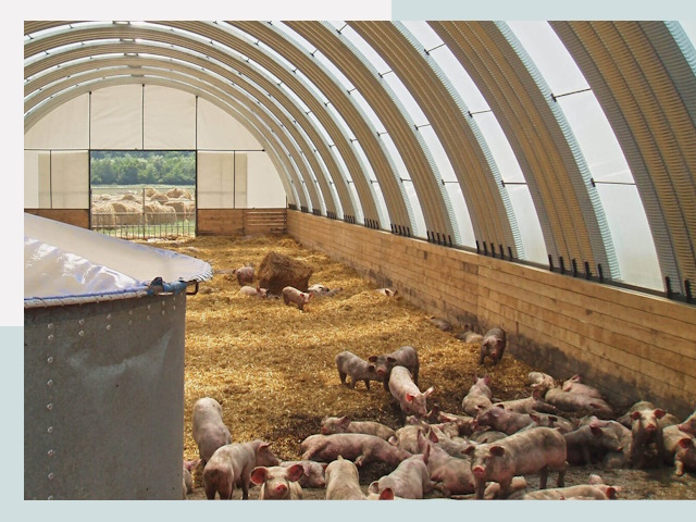 Строительство свинарников в Новомосковске