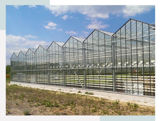 Строительство теплиц в Новомосковск от 620 руб. за м²